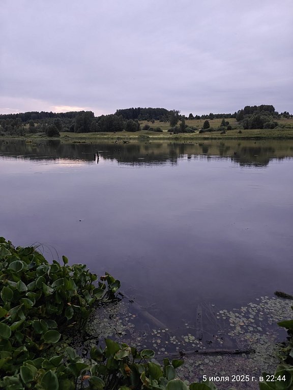 Фото из отзыва от 05.07.2025