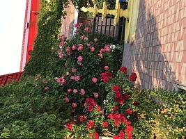 3-хместный с кухней(корпус № 1), Гостевой дом Мари-Анна, Межводное