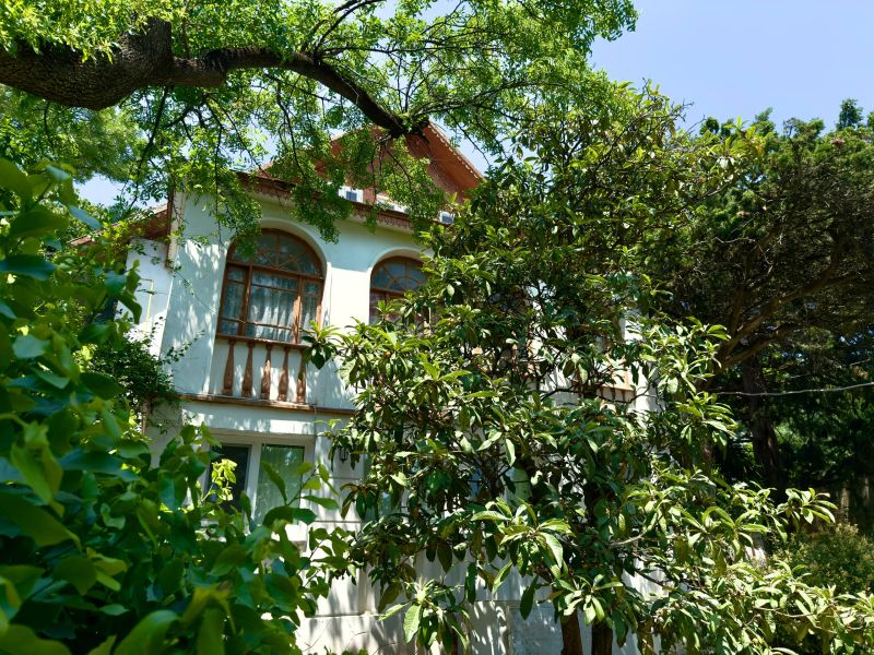 Дача-музей Натана Рахлина, Крым: фото 2