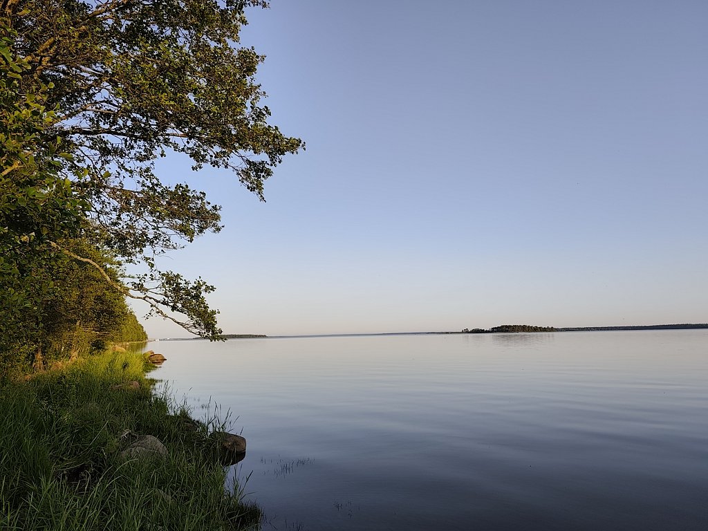 Фото из отзыва от 24.06.2025