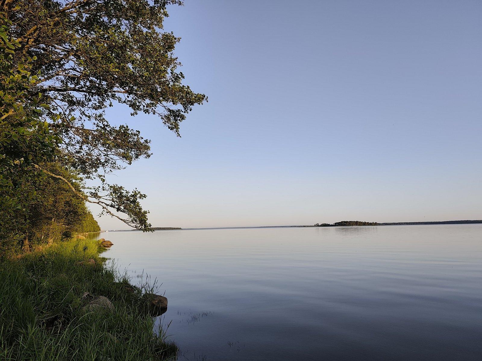 Фото 5 из отзыва о гостевом доме Хутор у залива