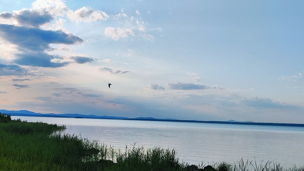 Фото из отзыва от 26.06.2025