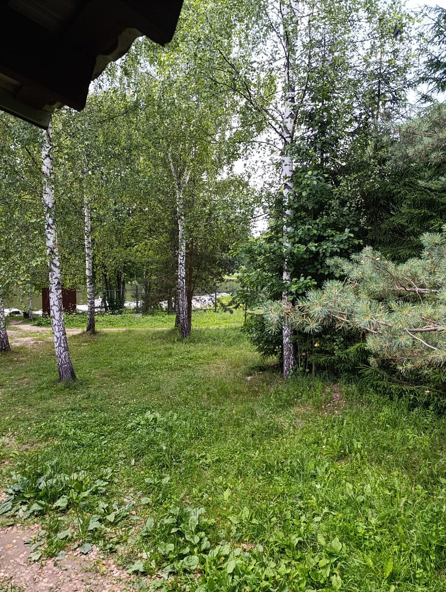 Фото 1 из отзыва о доме в аренду Колпино