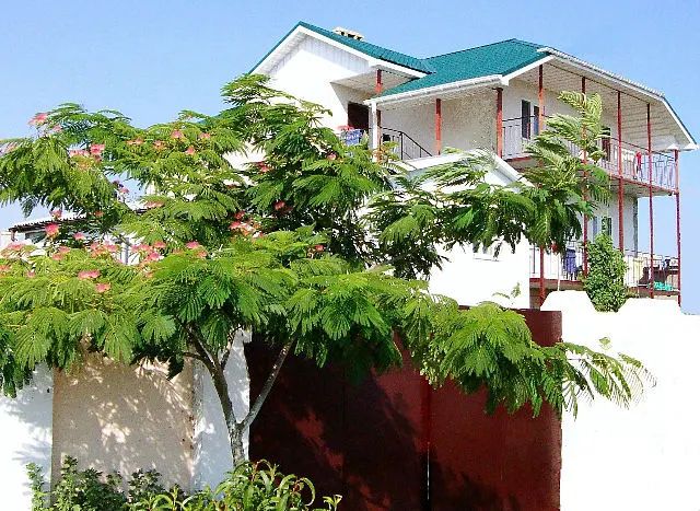 Гостевой дом Оазис (Береговое), село Береговое, муниципальный округ Феодосия, Крым