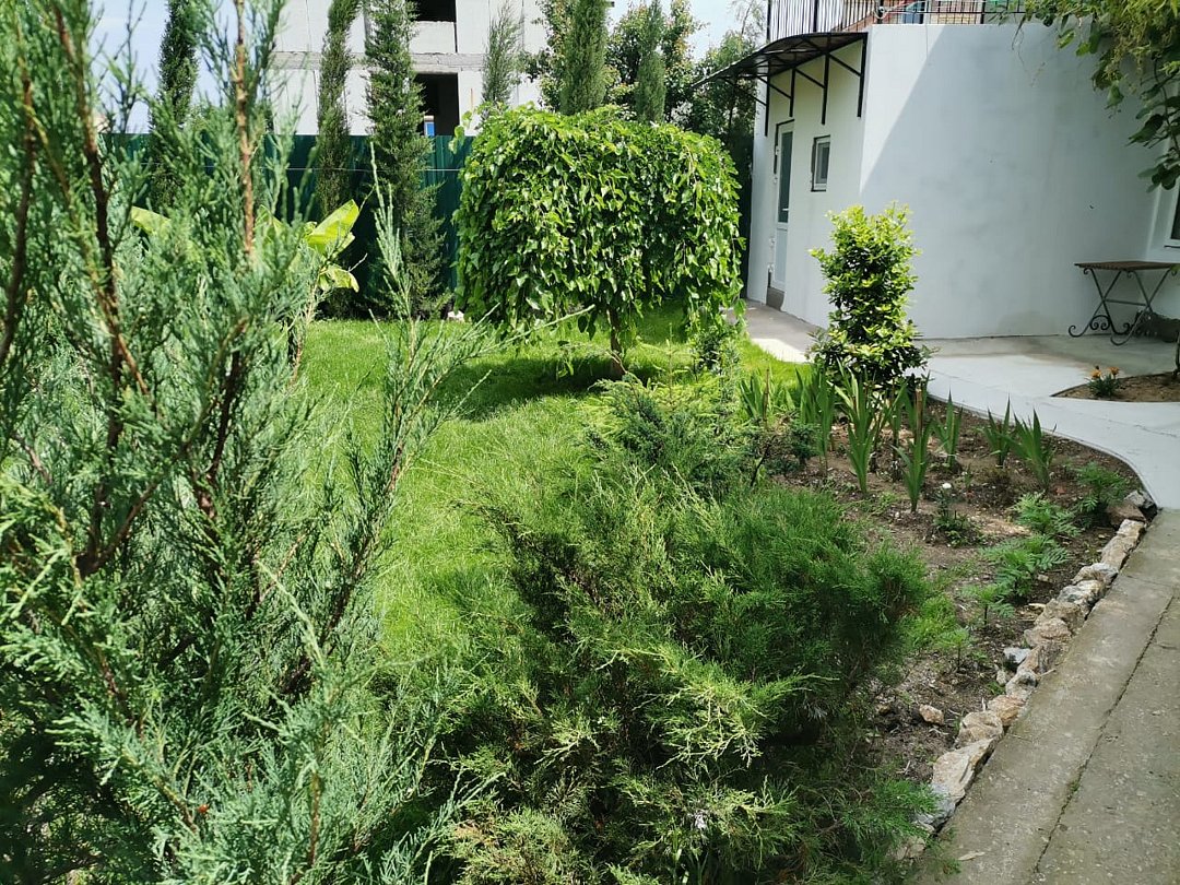 «Оазис» гостевой дом | Оазис (Береговое), Крым