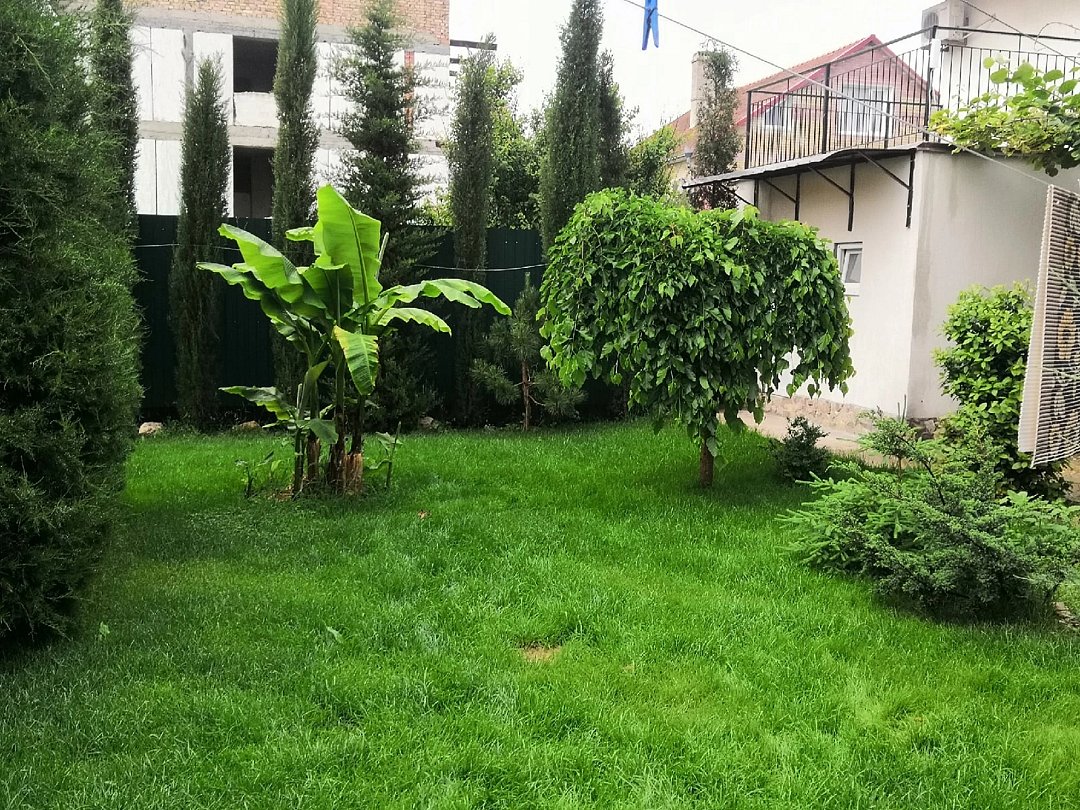 «Оазис» гостевой дом | Оазис (Береговое), Крым