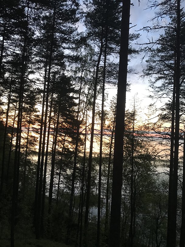 Фото 1 из отзыва о парк-отеле Сямозерье