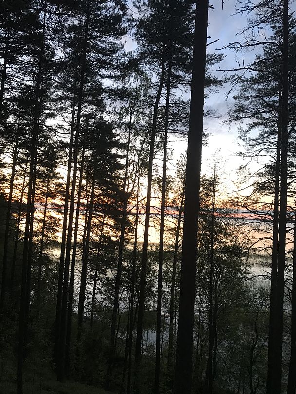 Фото 1 из отзыва о парк-отеле Сямозерье