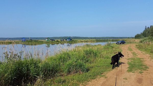 Река Малая Истра