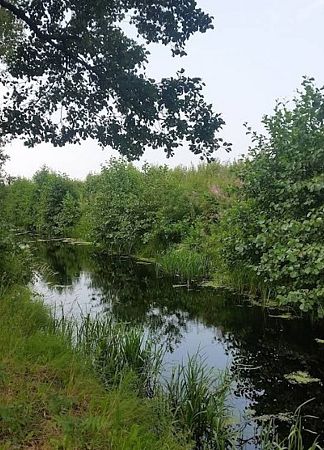 Река Малая Истра