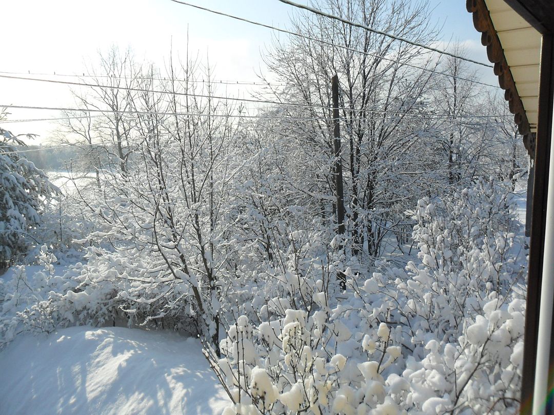 Дом 4-местный 3-комнатный