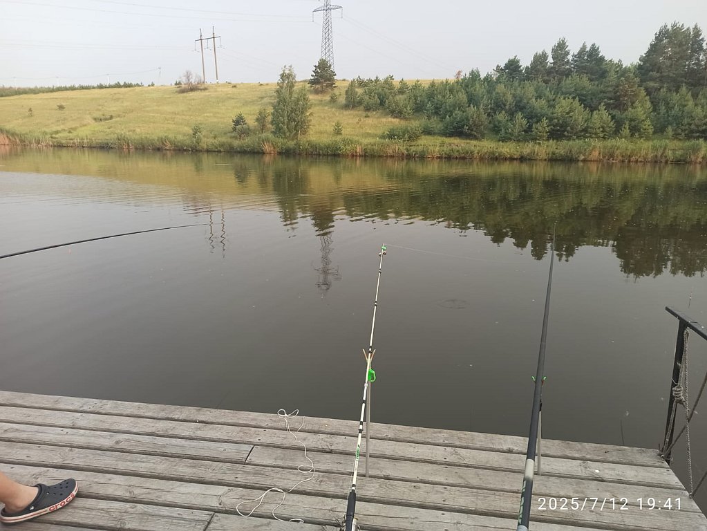 Фото из отзыва от 12.07.2025