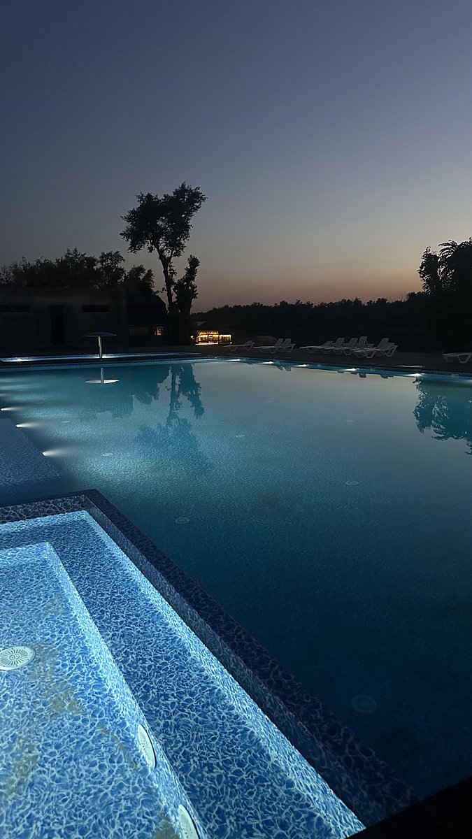 Фото 116 из отзыва о базе отдыха Донская Миля