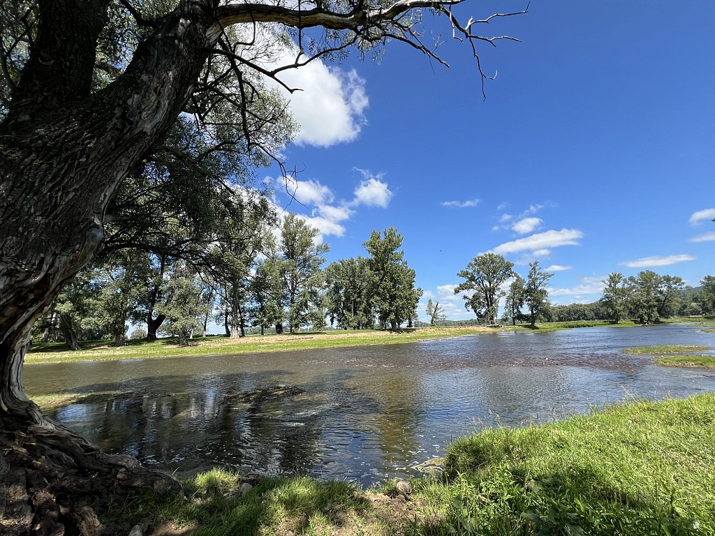 Фото из отзыва от 12.07.2025