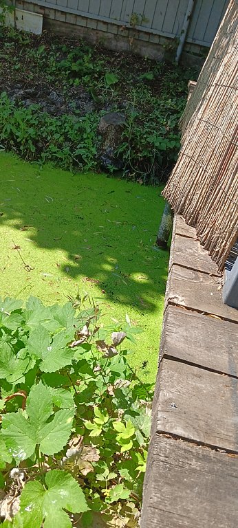 Фото из отзыва от 12.07.2025