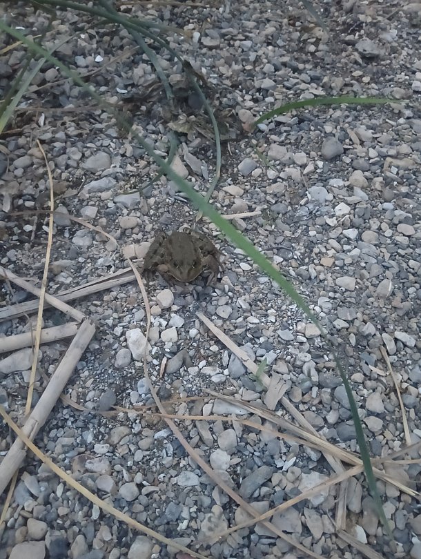 Фото 3 из отзыва о базе отдыха Тихая лагуна