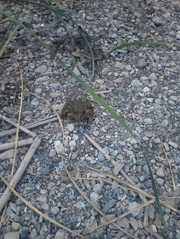 Фото 3 из отзыва о базе отдыха Тихая лагуна