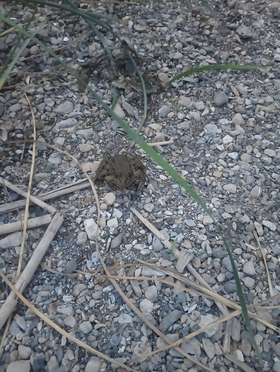 Фото 4 из отзыва о базе отдыха Тихая лагуна