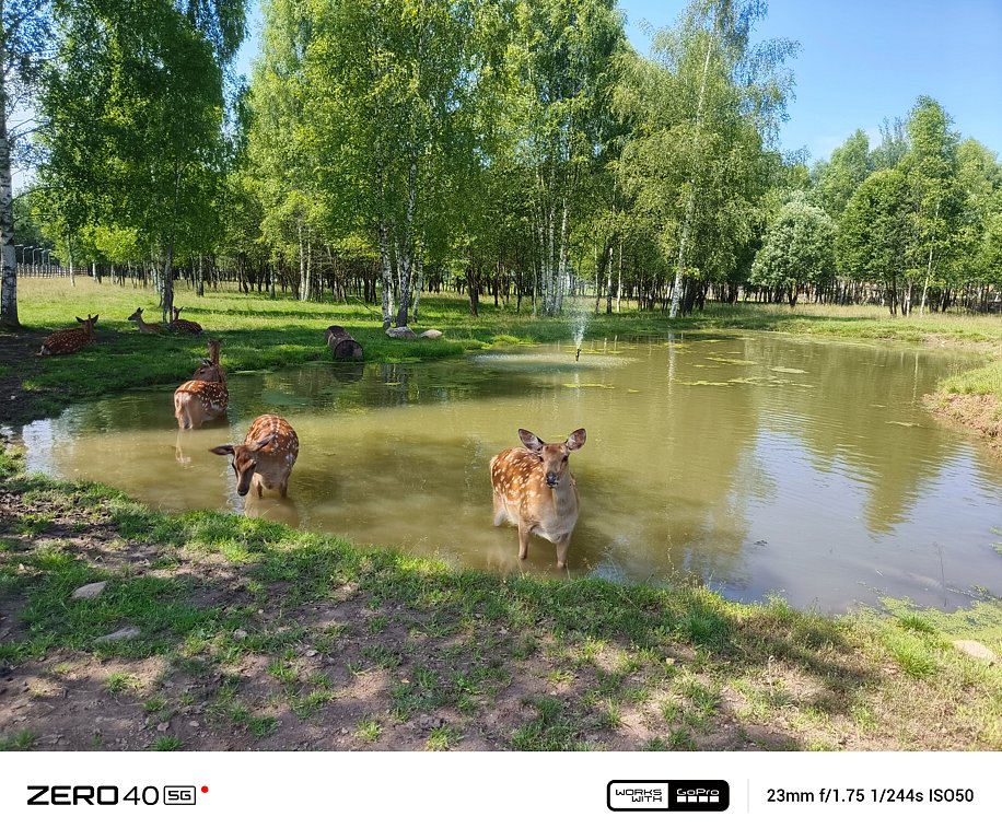 Фото из отзыва от 11.07.2025