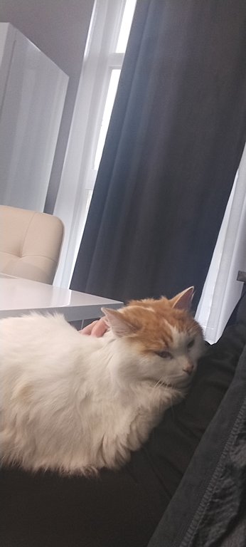 Фото из отзыва от 08.07.2025