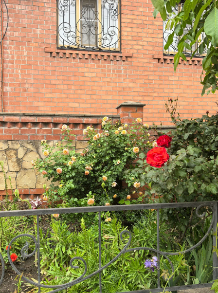 На Прямой, Краснодарский край: фото 4