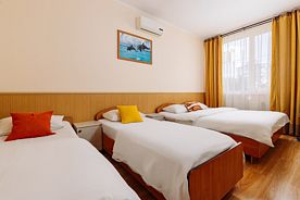 Стандарт с 2спальной и 1спальной кроватями до 4-х человек, Гостевой дом Dolphin Park, Сириус