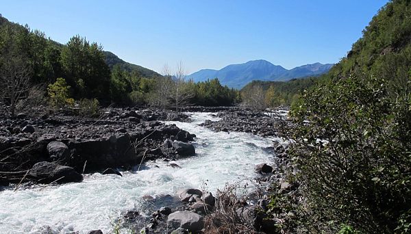 Тимоновские источники