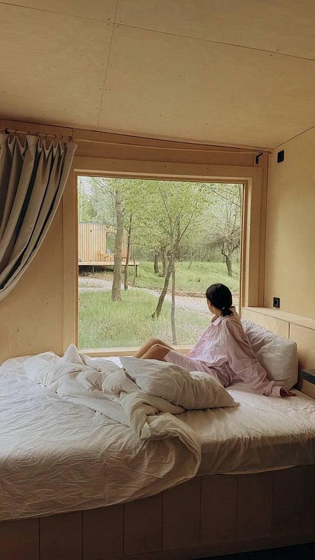 Дубовая лапа , Волгоградская область: фото 5