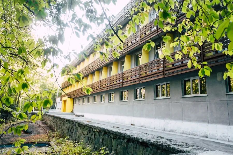 Внешний вид | Весна, Свердловская область