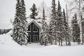 Дом 12-местный Friends, Шале Needles, Шерегеш