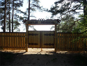 База отдыха Бурый медведь, Новгородская область, Новгород 