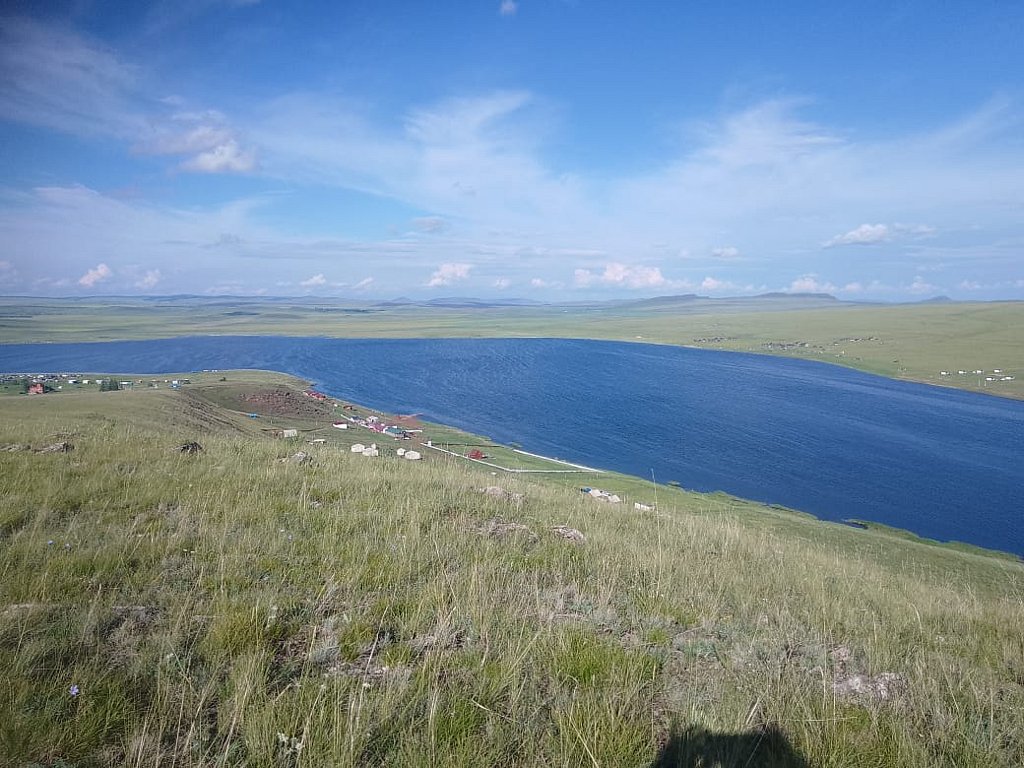 Фото из отзыва от 08.07.2025