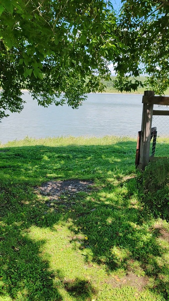 Фото 7 из отзыва о базе отдыха Три клена