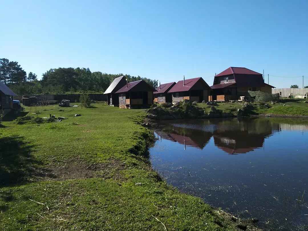 Медная сова, Алтайский край: фото 3
