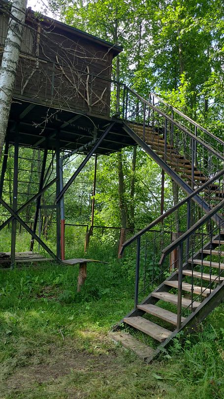 Фото 1 из отзыва о базе отдыха Боровик