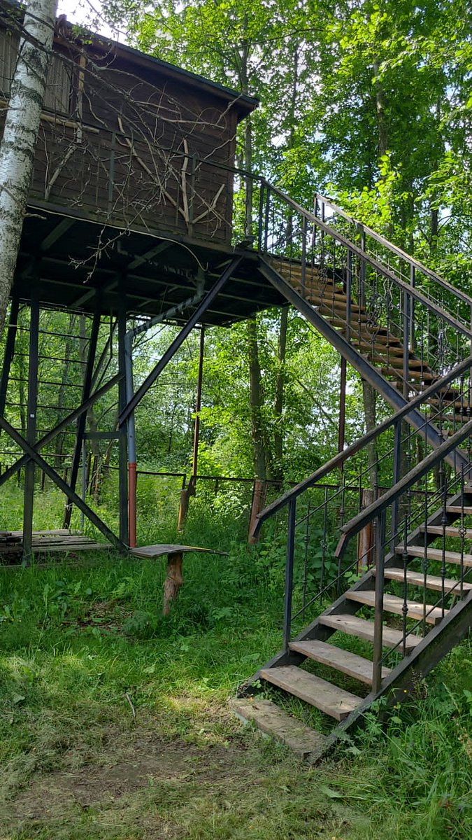 Фото 1 из отзыва о базе отдыха Боровик