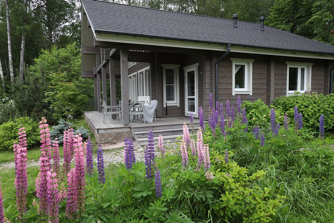 для 6 гостей рядом с лесом и озером в пос. Мысовое, Ленинградская область: фото 2