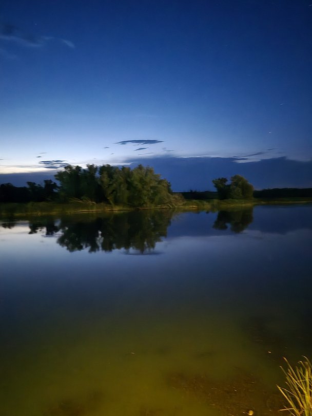 Фото 1 из отзыва о базе отдыха Донская Миля