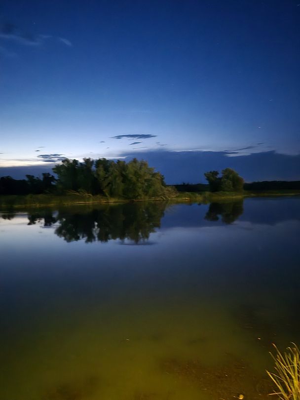 Фото 1 из отзыва о базе отдыха Донская Миля