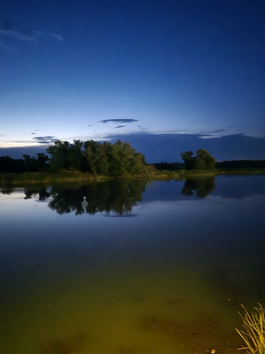 Фото 111 из отзыва о базе отдыха Донская Миля