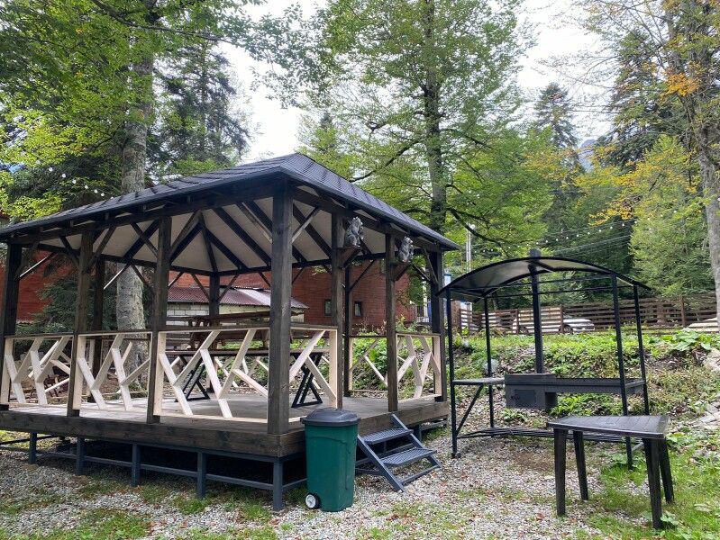 Сова, Республика Карачаево-Черкесия: фото 4