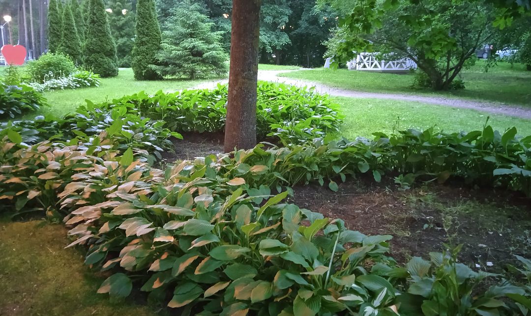 Фото 2 из отзыва о санатории Балтийский берег