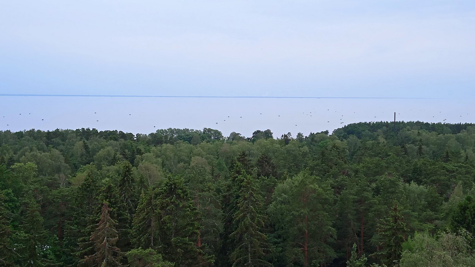 Фото 5 из отзыва о санатории Балтийский берег