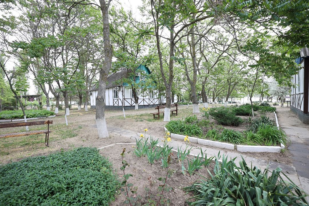 Оазис, Ростовская область: фото 2