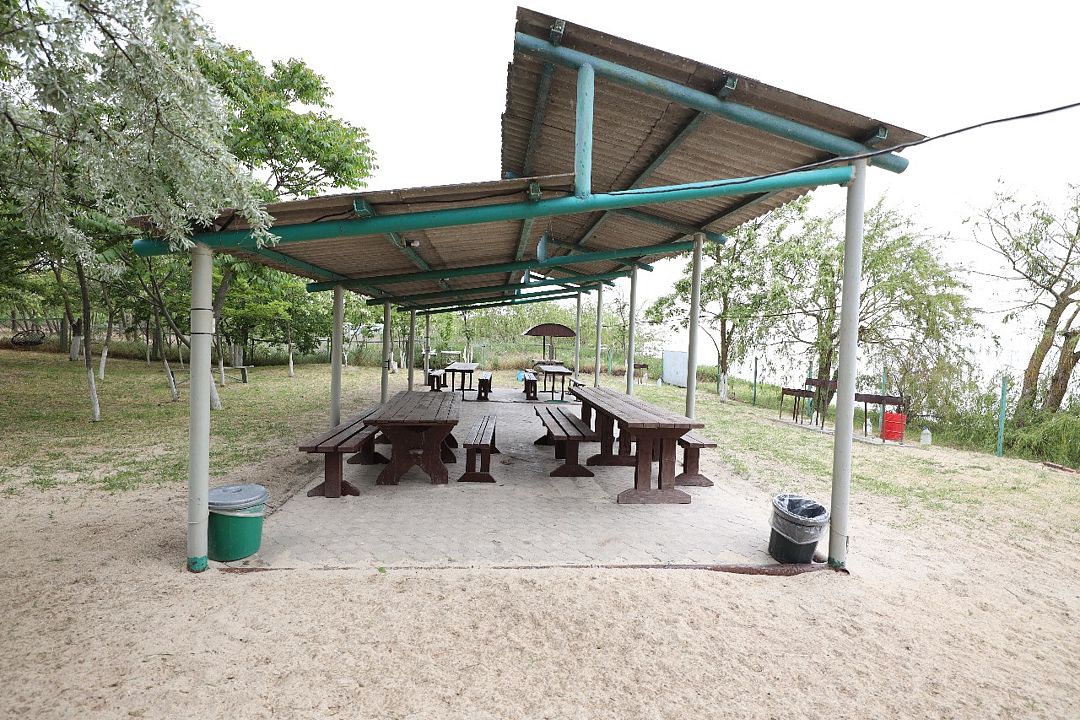 Оазис, Ростовская область: фото 4