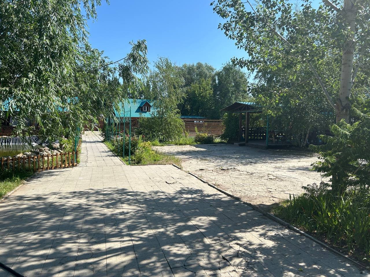 Фото 7 из отзыва о базе отдыха Березовые дали