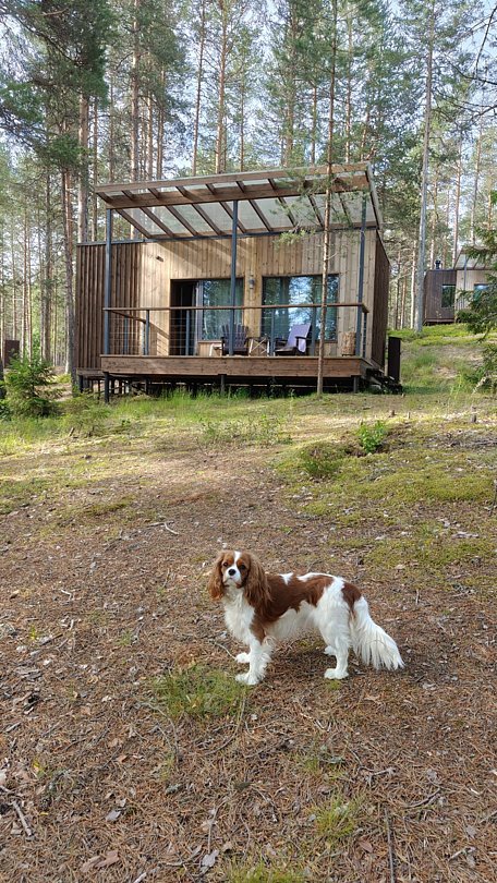 Фото 2 из отзыва о парк-отеле Сямозерье