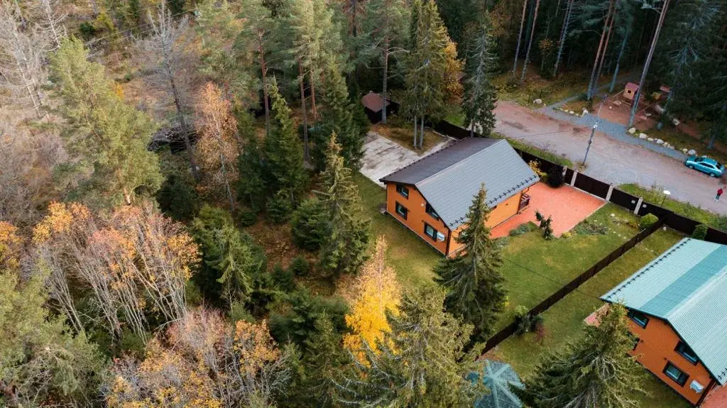 Green Forest , Ленинградская область: фото 2