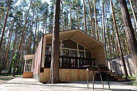 Барнхаус №2 с панорамой Номера домов: 2, База отдыха ДухЛес, Заречный