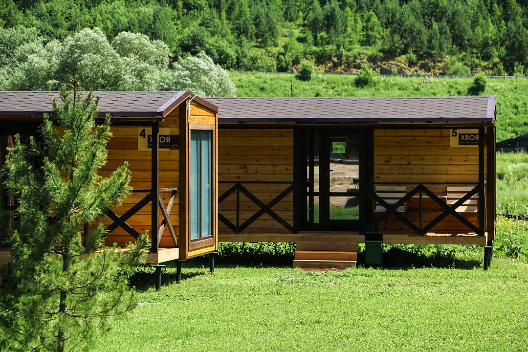 Кедровый берег, Алтайский край: фото 4